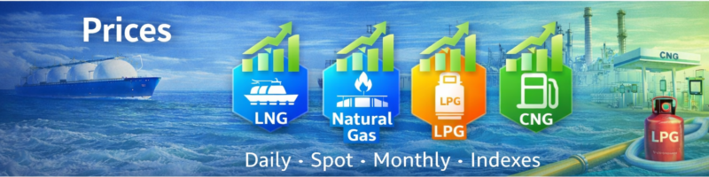 LNG Prices in India